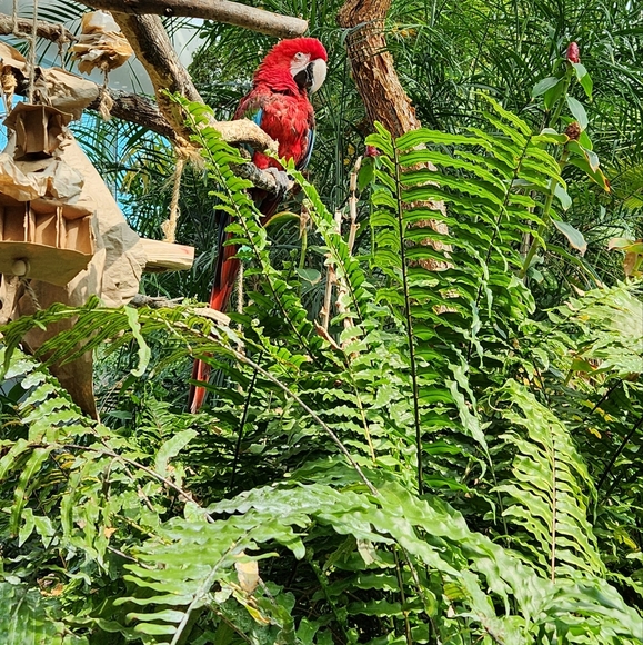 Meet your Posher, Sophia - Picture 2 of 5